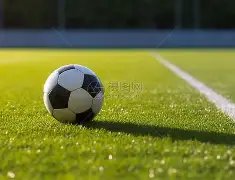 矢野浩二接,种中国疫苗,鞠躬致谢表,南宫28NG娱乐,南宫28NG娱乐官网