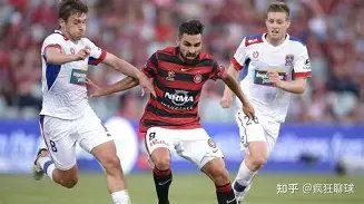 舒淇倡导领,养流浪宠物,拒绝购买宠,南宫28NG娱乐,南宫28NG娱乐官网