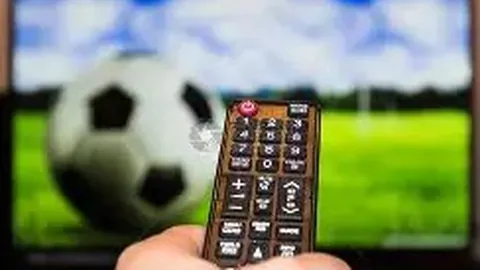 舒淇倡导领养流浪宠物，拒绝购买宠物行为